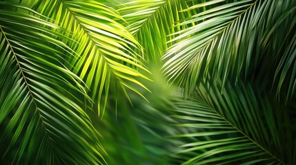 A vibrant tropical banner with palm leaves creating a lush, green backdrop, perfect for summer themes with clear copy space for text