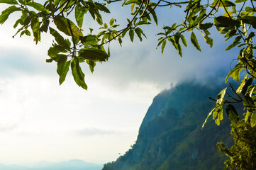 Amazing Ella Rock with Lush Green Mountains, Majestic Waterfalls, and the Stunning Natural Beauty of Paradise in Sri Lanka