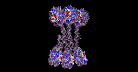 H1-Bound 6-Nucleosome Array, 3D structure with electrostatic surface, 4K