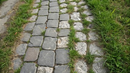 A winding stone path bordered by vibrant green grass, creating a natural contrast between man-made and organic textures.