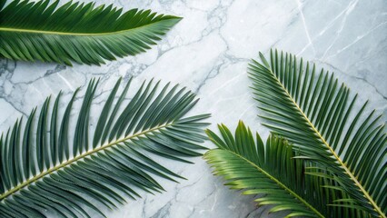 Obraz premium Palm fronds arranged on a white marble background, creating a minimalist and tropical aesthetic.