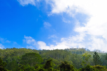 Amazing Ella Rock with Lush Green Mountains, Majestic Waterfalls, and the Stunning Natural Beauty of Paradise in Sri Lanka