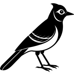Blue Jay Silhouette vector illustration