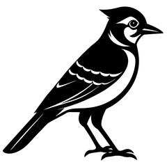 Blue Jay Silhouette vector illustration