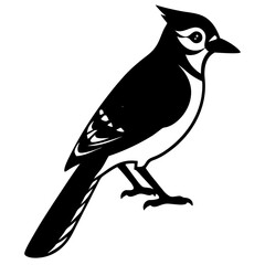 Blue Jay Silhouette vector illustration