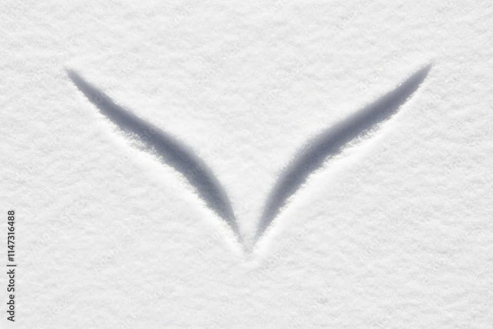 Poster the image is a close up of a snowflake with two wings