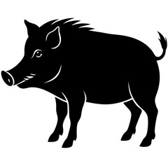 Boar Silhouette vector illustration