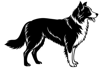 Border Collie Silhouette vector illustration