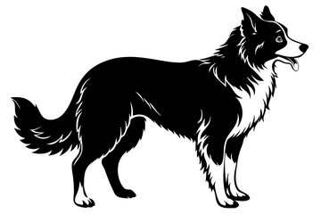 Border Collie Silhouette vector illustration