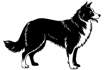 Border Collie Silhouette vector illustration