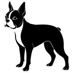 Boston Terrier Silhouette vector illustration