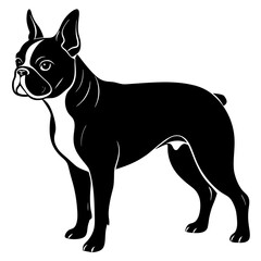 Boston Terrier Silhouette vector illustration