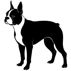 Boston Terrier Silhouette vector illustration