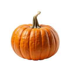 Obraz premium A fresh, round orange pumpkin with a stem on top