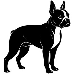 Boston Terrier Silhouette vector illustration