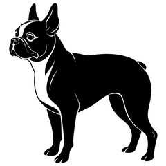 Boston Terrier Silhouette vector illustration