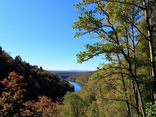 Fototapeta premium A serene river winding through a lush forest with vibrant green foliage and a clear blue sky reflecting in the water, scenery, nature, foliage