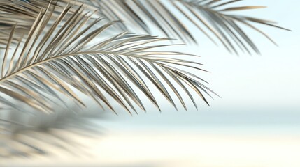 Silver palm leaves against a blurred beach background.
