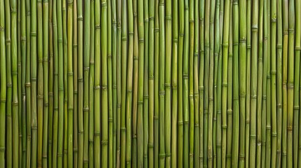 Naklejka premium Natural Green Bamboo Texture Background for Design, Decoration, or Eco-Friendly Projects - Perfect for Nature Lovers and Sustainability Concepts