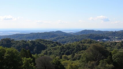 Obraz premium Lush green forest with a vibrant blue sky in the background, horizon, idyllic, panoramic