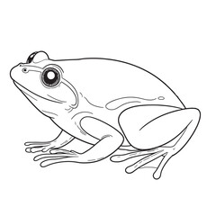 Frog  line art on white backgroun
