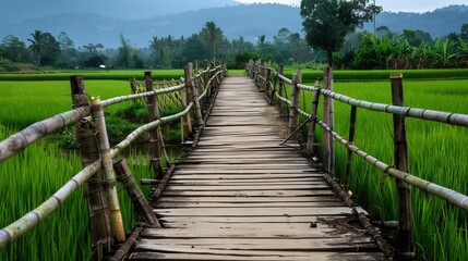 Fototapeta premium Tranquil Bamboo Bridge Over Lush Rice Paddies
