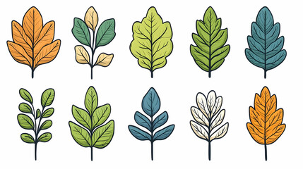 Colorful Leaves Decorate Beautifully with Elegance and Grace