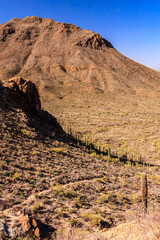 A desert landscape with a mountain in the background