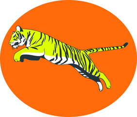illustration of a Tiger