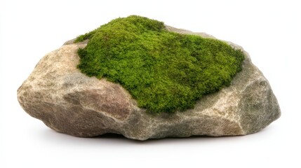 A smooth rock covered with vibrant green moss, showcasing natural textures and colors, ideal for landscaping or decorative purposes.