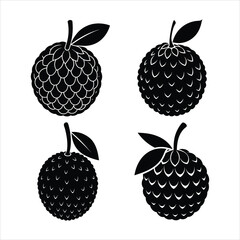A set of Litchi silhouette vector illustration
