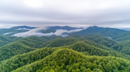 Fototapeta premium Lush green hills under a cloudy sky, with mist rolling through the valley, creating a serene and picturesque landscape.