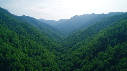 Obraz premium A serene aerial view of lush green mountains and valleys under a bright sky, showcasing the beauty of nature's landscape.