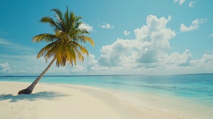 Fototapeta premium Lone Palm Tree on a Pristine Tropical Beach
