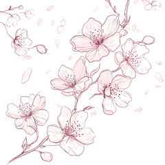 floral and leafy illustrator elements for card, wallpaper.