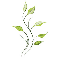 Obraz premium floral and leafy illustrator elements for card, wallpaper.