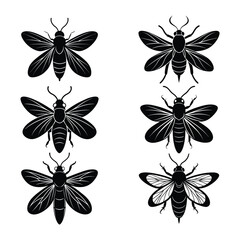 set of black firefly silhouette.