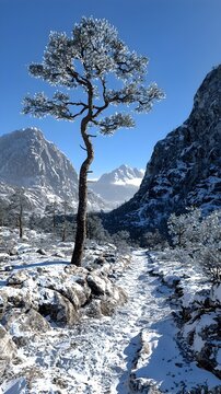 A lone pine tree stands icily adorned in a majestic winter landscape, surrounded by snow-covered mountains and a serene blue sky, evoking feelings of tranquility and solitude.
