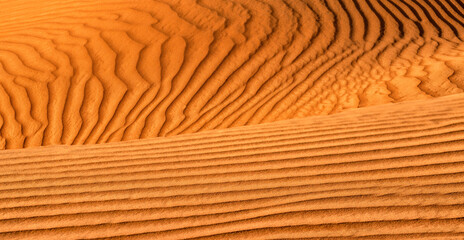 Sand dune texture. Desert Background. Oman, Wahiba Desert	