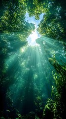 Breathtaking underwater scene showcasing sun rays filtering through lush aquatic vegetation, creating a serene and mystical atmosphere in a vibrant blue ocean.