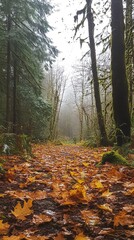 A serene path lined with autumn leaves in a misty forest.
