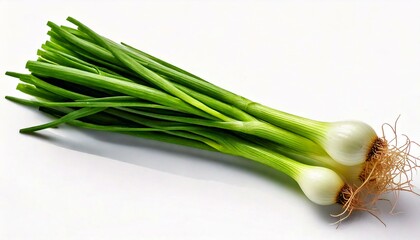 Obraz premium a Scallion on a white background
