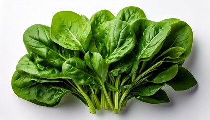 Fototapeta premium a spinach on a white background
