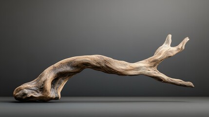 Fototapeta premium Weathered Driftwood Branch by the Water's Edge