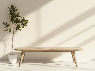 Modern wooden bench and plant create a serene atmosphere in bright room