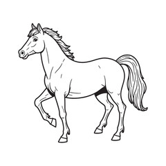 Horse  line art on white backgroun