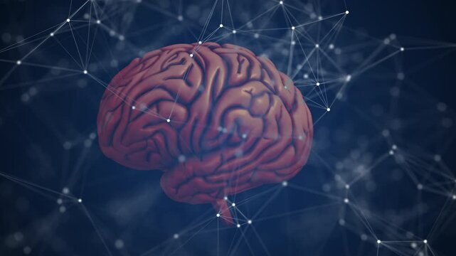 An abstract digital representation of the human brain