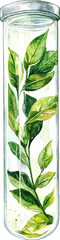 Obraz premium glass test tube containing green leaves, generative AI