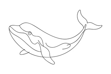 Minimalist Whale Line Art Vector Illustration Design
