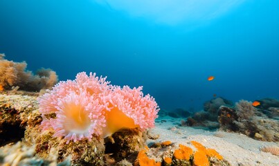 colorful corals in the sea. Generative AI 